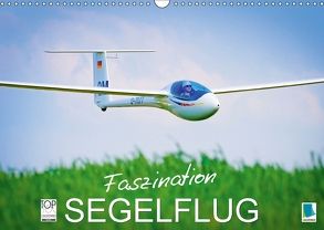 Faszination Segelflug (Wandkalender 2018 DIN A3 quer) von CALVENDO