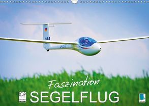 Faszination Segelflug (Wandkalender 2019 DIN A3 quer) von CALVENDO