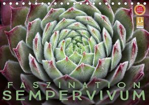 Faszination Sempervivum (Tischkalender 2019 DIN A5 quer) von Cross,  Martina