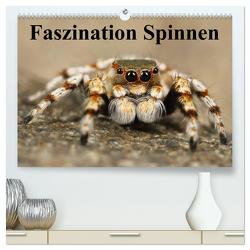 Faszination Spinnen (hochwertiger Premium Wandkalender 2024 DIN A2 quer), Kunstdruck in Hochglanz von Stanzer,  Elisabeth