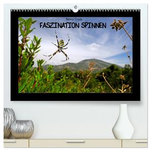 Faszination Spinnen (hochwertiger Premium Wandkalender 2024 DIN A2 quer), Kunstdruck in Hochglanz von Trapp,  Benny