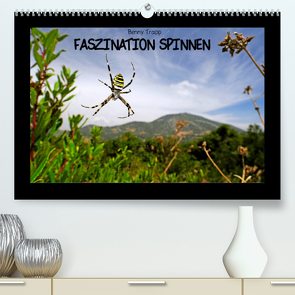 Faszination Spinnen (Premium, hochwertiger DIN A2 Wandkalender 2023, Kunstdruck in Hochglanz) von Trapp,  Benny
