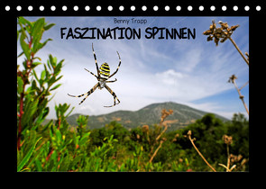 Faszination Spinnen (Tischkalender 2023 DIN A5 quer) von Trapp,  Benny