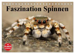 Faszination Spinnen (Tischkalender 2024 DIN A5 quer), CALVENDO Monatskalender von Stanzer,  Elisabeth