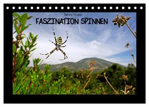 Faszination Spinnen (Tischkalender 2024 DIN A5 quer), CALVENDO Monatskalender von Trapp,  Benny