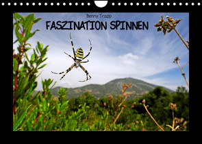 Faszination Spinnen (Wandkalender 2022 DIN A4 quer) von Trapp,  Benny