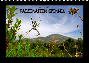 Faszination Spinnen (Wandkalender 2023 DIN A2 quer) von Trapp,  Benny