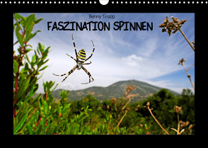 Faszination Spinnen (Wandkalender 2023 DIN A3 quer) von Trapp,  Benny