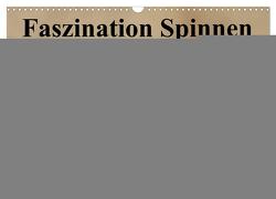 Faszination Spinnen (Wandkalender 2024 DIN A3 quer), CALVENDO Monatskalender von Stanzer,  Elisabeth