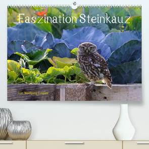 Faszination Steinkauz (Premium, hochwertiger DIN A2 Wandkalender 2022, Kunstdruck in Hochglanz) von Lequen,  Wolfgang