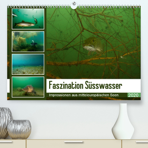 Faszination Süsswasser (Premium, hochwertiger DIN A2 Wandkalender 2020, Kunstdruck in Hochglanz) von Gruse,  Sven