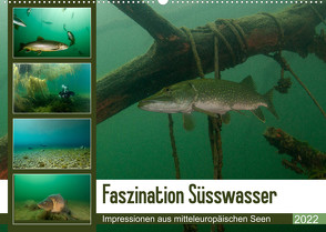 Faszination Süsswasser (Wandkalender 2022 DIN A2 quer) von Gruse,  Sven