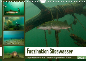 Faszination Süsswasser (Wandkalender 2022 DIN A4 quer) von Gruse,  Sven
