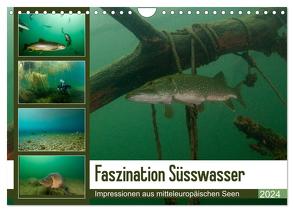 Faszination Süsswasser (Wandkalender 2024 DIN A4 quer), CALVENDO Monatskalender von Gruse,  Sven