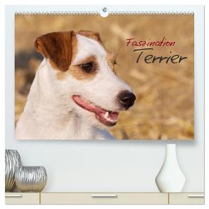 Faszination Terrier (hochwertiger Premium Wandkalender 2024 DIN A2 quer), Kunstdruck in Hochglanz von Gerlach,  Nadine