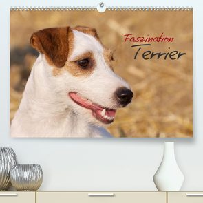 Faszination Terrier (Premium, hochwertiger DIN A2 Wandkalender 2021, Kunstdruck in Hochglanz) von Gerlach,  Nadine
