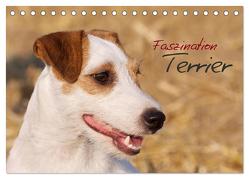 Faszination Terrier (Tischkalender 2024 DIN A5 quer), CALVENDO Monatskalender von Gerlach,  Nadine