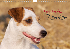 Faszination Terrier (Wandkalender 2021 DIN A4 quer) von Gerlach,  Nadine