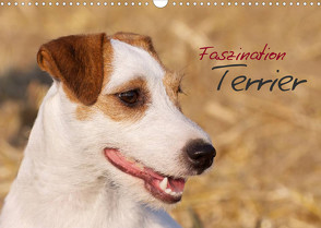 Faszination Terrier (Wandkalender 2022 DIN A3 quer) von Gerlach,  Nadine