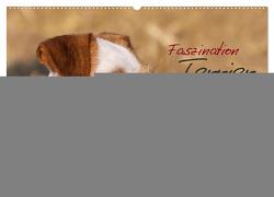 Faszination Terrier (Wandkalender 2024 DIN A2 quer), CALVENDO Monatskalender von Gerlach,  Nadine