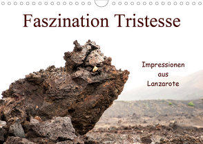 Faszination Tristesse – Impressionen aus Lanzarote (Wandkalender 2020 DIN A4 quer) von H. Daub,  Bernd