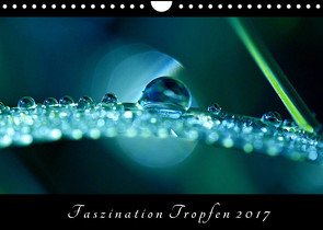 Faszination Tropfen 2022 (Wandkalender 2022 DIN A4 quer) von Brockmann,  Kathrin