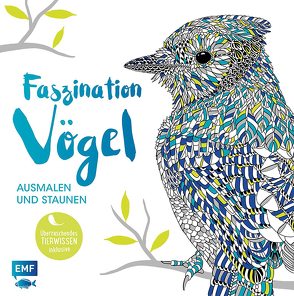 Faszination Vögel – Ausmalen und Staunen von Merritt,  Richard, Scully,  Claire