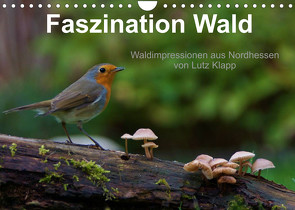 Faszination Wald. Waldimpressionen aus Nordhessen von Lutz Klapp (Wandkalender 2023 DIN A4 quer) von Klapp,  Lutz