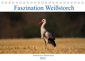 Faszination Weißstorch (Tischkalender 2022 DIN A5 quer) von Eitzenberger,  Anja