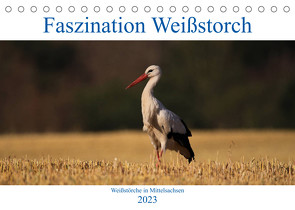 Faszination Weißstorch (Tischkalender 2023 DIN A5 quer) von Eitzenberger,  Anja
