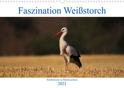 Faszination Weißstorch (Wandkalender 2023 DIN A3 quer) von Eitzenberger,  Anja