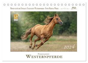 Faszination Westernpferde (Tischkalender 2024 DIN A5 quer), CALVENDO Monatskalender von Wrede - Wredefotografie,  Martina