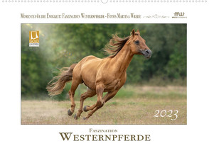 Faszination Westernpferde (Wandkalender 2023 DIN A2 quer) von Wrede - Wredefotografie,  Martina