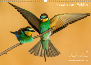 Faszination – Wildlife (Wandkalender 2019 DIN A3 quer) von Bauer,  Frederic