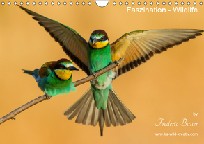 Faszination – Wildlife (Wandkalender 2019 DIN A4 quer) von Bauer,  Frederic