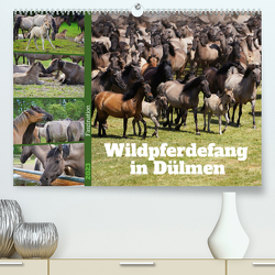 Faszination Wildpferdefang in Dülmen (Premium, hochwertiger DIN A2 Wandkalender 2023, Kunstdruck in Hochglanz) von Paul - Babett's Bildergalerie,  Babett