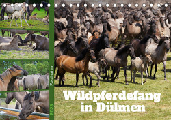 Faszination Wildpferdefang in Dülmen (Tischkalender 2023 DIN A5 quer) von Paul - Babett's Bildergalerie,  Babett