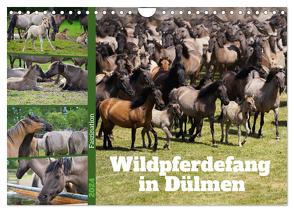Faszination Wildpferdefang in Dülmen (Wandkalender 2024 DIN A4 quer), CALVENDO Monatskalender von Paul - Babett's Bildergalerie,  Babett