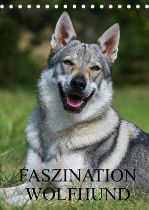 Faszination Wolfhund (Tischkalender 2022 DIN A5 hoch) von Starick,  Sigrid