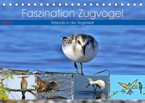 Faszination Zugvögel – Rekorde in der Vogelwelt (Tischkalender 2023 DIN A5 quer) von Schaack,  René