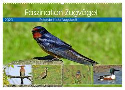 Faszination Zugvögel – Rekorde in der Vogelwelt (Wandkalender 2024 DIN A2 quer), CALVENDO Monatskalender von Schaack,  René
