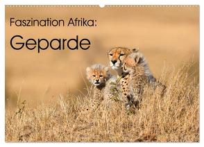 Faszinaton Afrika: Geparde (Wandkalender 2024 DIN A2 quer), CALVENDO Monatskalender von Weiß,  Elmar