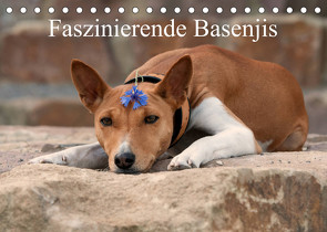 Faszinierende Basenjis (Tischkalender 2023 DIN A5 quer) von Joswig,  Angelika