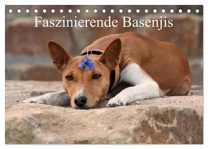Faszinierende Basenjis (Tischkalender 2024 DIN A5 quer), CALVENDO Monatskalender von Joswig,  Angelika