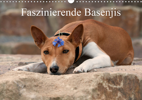 Faszinierende Basenjis (Wandkalender 2020 DIN A3 quer) von Joswig,  Angelika