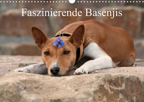 Faszinierende Basenjis (Wandkalender 2023 DIN A3 quer) von Joswig,  Angelika