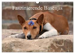 Faszinierende Basenjis (Wandkalender 2024 DIN A3 quer), CALVENDO Monatskalender von Joswig,  Angelika