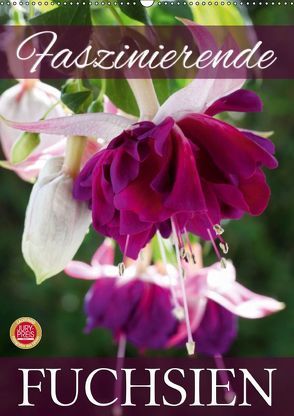 Faszinierende Fuchsien (Wandkalender 2019 DIN A2 hoch) von Cross,  Martina