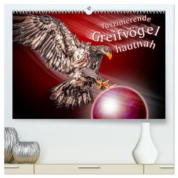 Faszinierende Greifvögel hautnah (hochwertiger Premium Wandkalender 2024 DIN A2 quer), Kunstdruck in Hochglanz von Gödecke,  Dieter