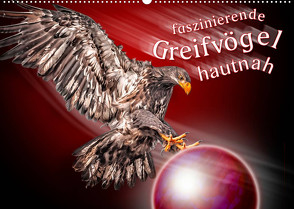 Faszinierende Greifvögel hautnah (Wandkalender 2023 DIN A2 quer) von Gödecke,  Dieter